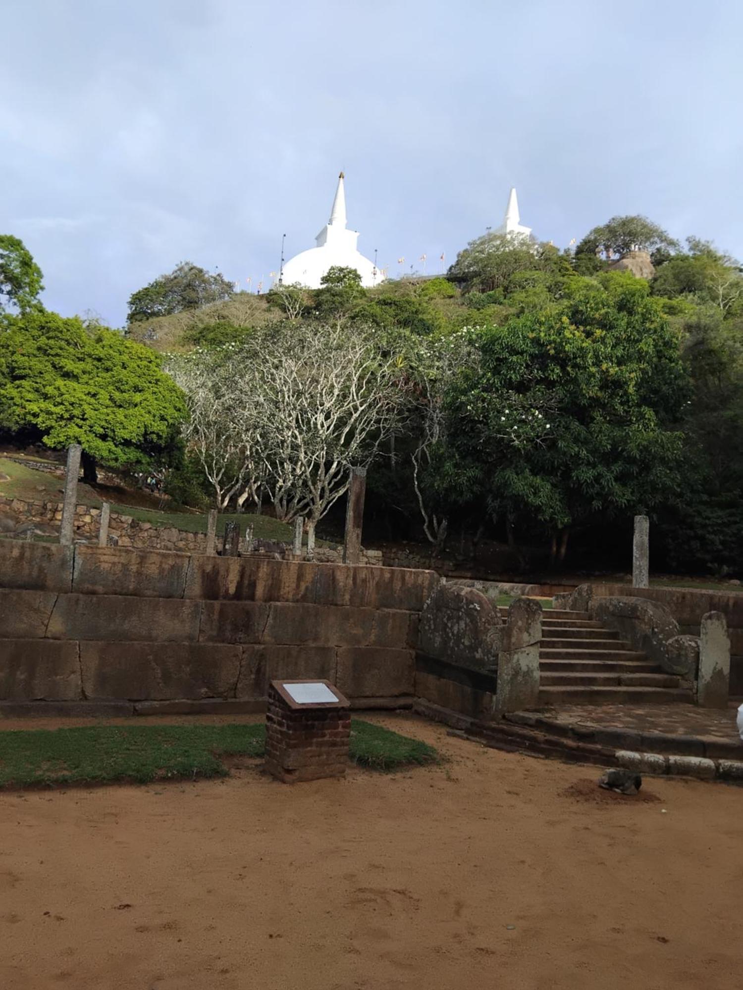 Goalma Family Holiday Resort & Restaurant Anuradhapura Ngoại thất bức ảnh